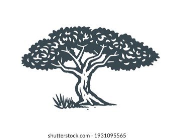 African tree. Vector illustration. Monochrome version.