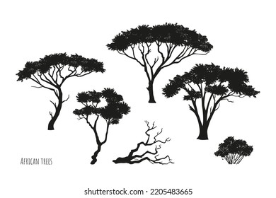 African trees black silhouettes. Isolated savannah plants. Wild forest acacia. Natural landscape elements. Australian wood set. Vector illustration