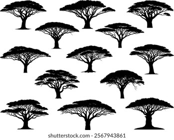 African trees silhouette on white background
