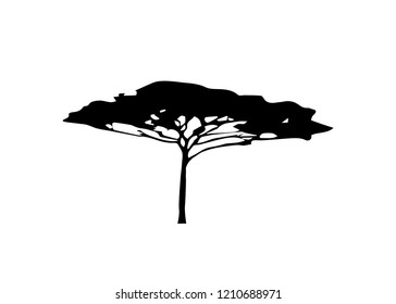 African tropical tree logo icon black and white color, acacia tree silhouette, green nature safari ecology concept, biological concept nature preservation trust, vector isolated on white background 