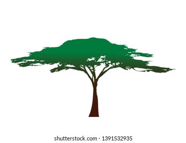 African tropical tree logo icon, acacia tree Savannah silhouette , green nature safari ecology concept, biological concept nature preservation trust, vector isolated on white background 