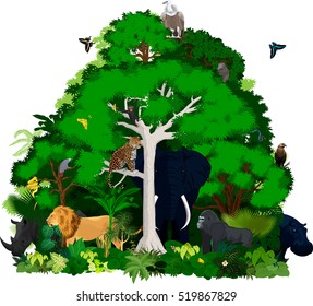 African vector jungle illustration. Vector Green Tropical Forest with animals