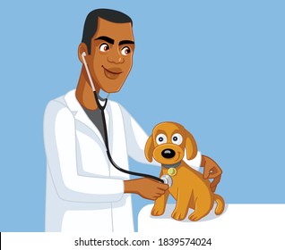 African Veterinarian Examining Cute Dog. Veterinary clinic specialist with stethoscope diagnosing pet
