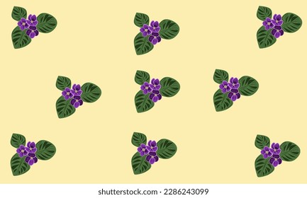 Violeta africana con hoja verde y fondo amarillo. African Violet es una flor ornamental originaria de Tanzania y Kenia. Esta flor tiene hojas gruesas con una textura similar a la de velv