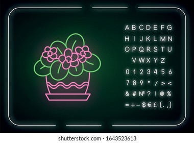African violet neon light icon. Blooming Saintpaulia. Plant with flowers. Flowering houseplant. Outer glowing effect. Sign with alphabet, numbers and symbols. Vector isolated RGB color illustration