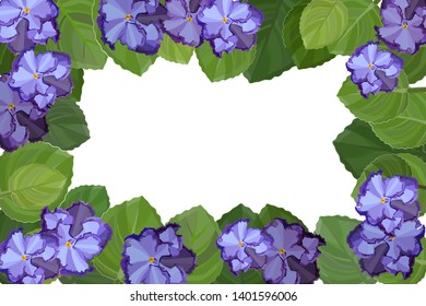 African Violet, Saintpaulia, On White Background. Top View Vector Frame With Copy Space Illustration