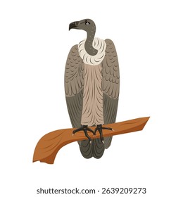 African vulture isolated. Birds from Africa. Children cute animal vector illustration.