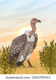 African vulture sits in tall dry grass in the savannah. Dawn in Africa. wild carrion birds. Realistic vector vertical landscape