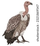 African vultures Griffon vulture or Eurasian griffon. Wild birds of Africa. Realistic vector animal