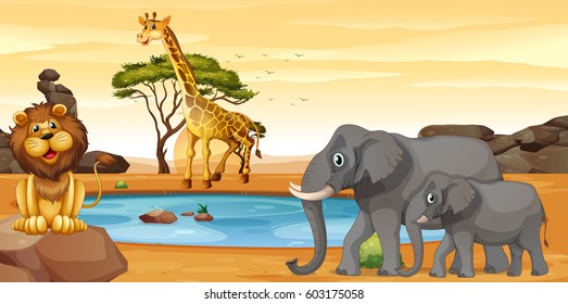 African water hole lion, giraffe and elephants