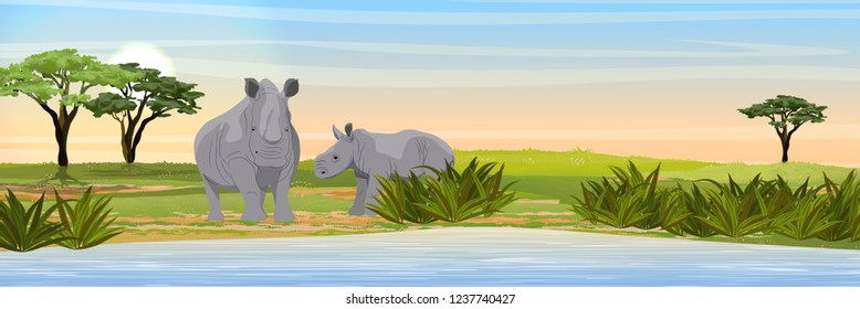 African white rhinoceros female and young in the African savannah near a watering place. Rhinoceros family Wildlife of Africa. Realistic Vector Landscape