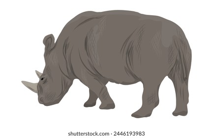 African white rhinoceros. Realistic vector animal