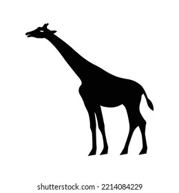 African wild animal giraffe icon | Black Vector illustration |