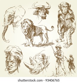 african wild animals