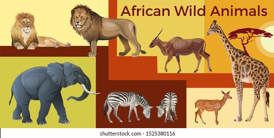 African wild animals: lions, elephant, zebras, giraffe and antelopes. Vector illustration in realistic style