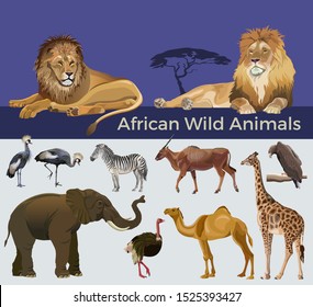 African wild animals: lions, zebra, antelope eland, elephant, giraffe, camel, eagle, crowned cranes and ostrich. Vector illustration isolated on white and blue background