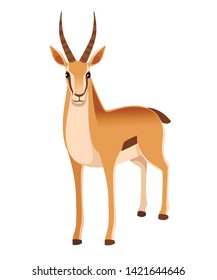 African wild black-tailed gazelle with long horns cartoon animal design flat vector illustration on white background front view antelope