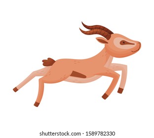 African Wild Brown-tailed Gazelle with Horns Vector Illustration
