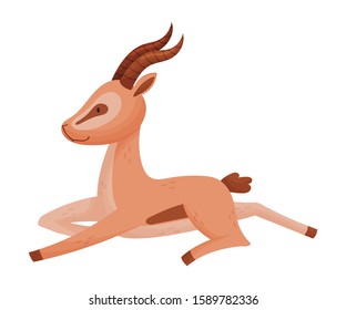 African Wild Brown-tailed Gazelle with Horns Vector Illustration
