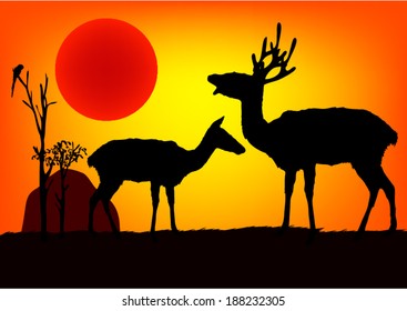 African wild deer in sundown. Vector