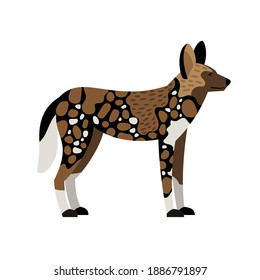 African wild dog. Cartoon image of savannah creature, carnivore of nature, vector illustration of wildlife character isolated on white background