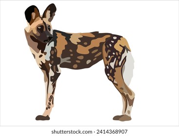 The african wild dog is highly endangered due to the shrinking of its natural habitat. 
