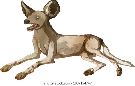 African Wild Dog In Laying Position On White Background Illustration