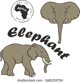 African wild elephant vector image isolated on white background. Elephant in full growth and profile head. Realistic elephant color design. Fauna Africa symbol. Animal with long nose and big ears.