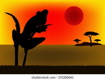 African wild frogs at sunset.vector