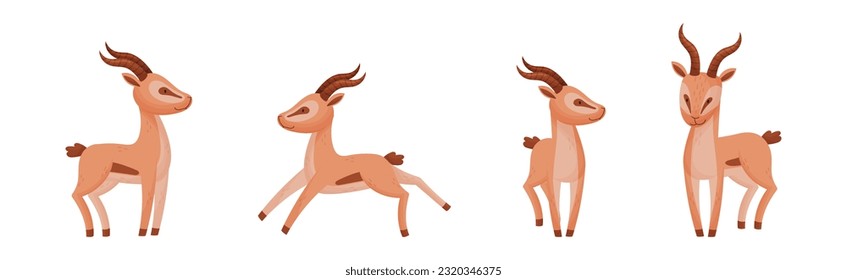 Afrikanische Wilde Gazelle mit Long Horns und Hoofs Vektor Set