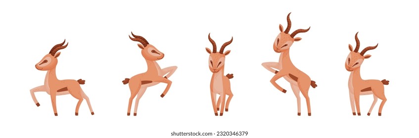 Afrikanische Wilde Gazelle mit Long Horns und Hoofs Vektor Set