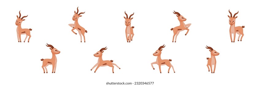 Afrikanische Wilde Gazelle mit Long Horns und Hoofs Vektor Set