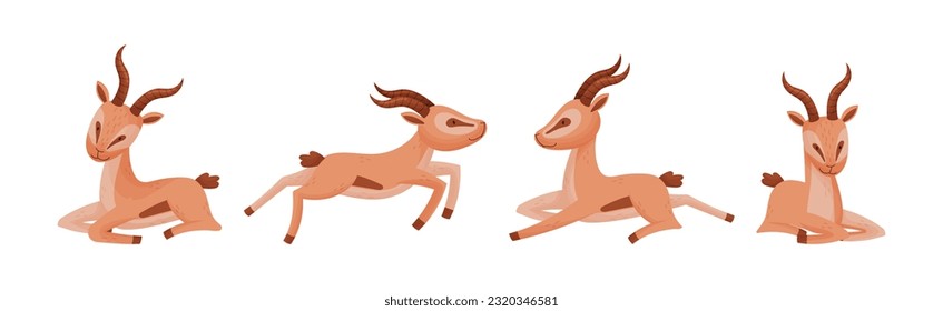 Afrikanische Wilde Gazelle mit Long Horns und Hoofs Vektor Set