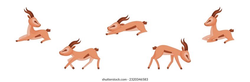 Afrikanische Wilde Gazelle mit Long Horns und Hoofs Vektor Set