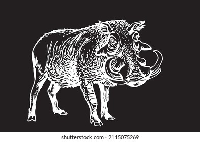 African wild hog standing isolated on black background  , vector engraved illustration