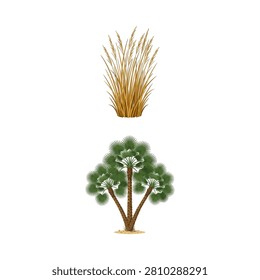 African wild savanna nature elements featuring dry brown grass and green tree vector set