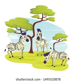 African Wild Zebras Herd Grazing in Grasslands, Horse Family with Distinctive Black and white Striped Coats. Herbivorous Animals Living in Africa, Zoo Park, Wildlife, Cartoon Flat Vector Illustration