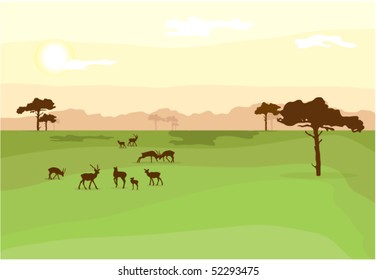 African Wildlife Background