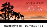 African Wildlife Background. Nature Background. African savanna landscape.