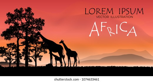 African Wildlife Background. Nature Background. African savanna landscape.