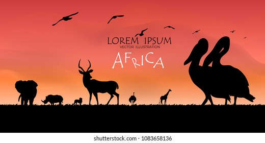 African Wildlife Background. Nature Background. African savanna landscape.