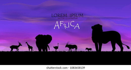 African Wildlife Background. Nature Background. African savanna landscape.