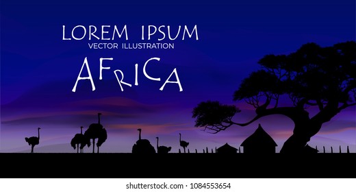African Wildlife Background. Nature Background. African savanna landscape.
