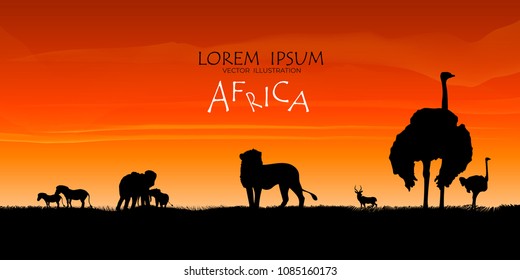 African Wildlife Background. Nature Background. African savanna landscape. safari card. vector.