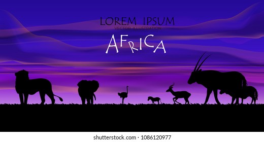 African Wildlife Background. Nature Background. African savanna landscape. safari card. vector.