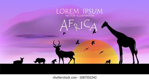 African Wildlife Background. Nature Background. African savanna landscape. safari card. vector.