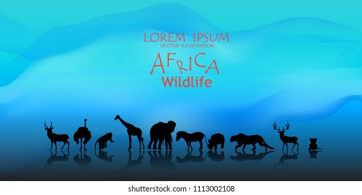 African Wildlife Background. Nature Background. African savanna landscape. safari card. vector.
