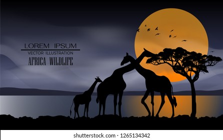 African Wildlife Background. Nature Background. African savanna landscape. safari card. vector.