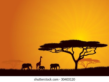 African Wildlife Background. Nature Background Series.