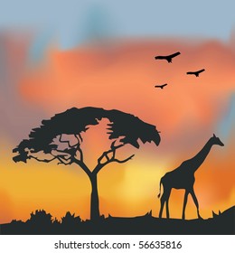 African Wildlife Background. Nature Background Series.